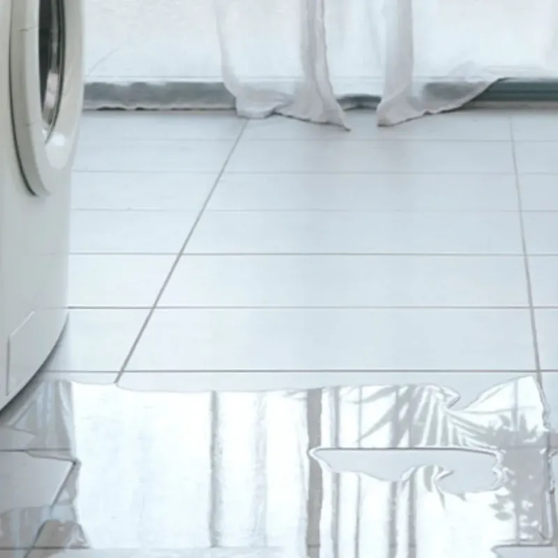 Appliance Leak Cleanup in Oak Point, TX