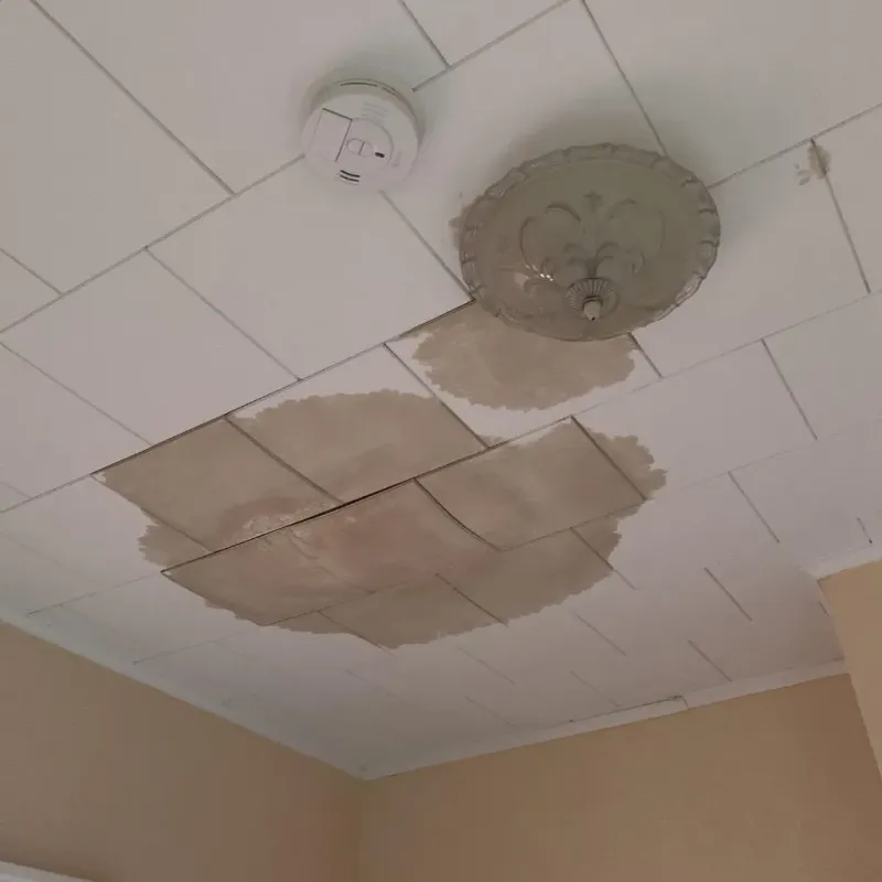 Ceiling Water Damage Repair in Oak Point, TX