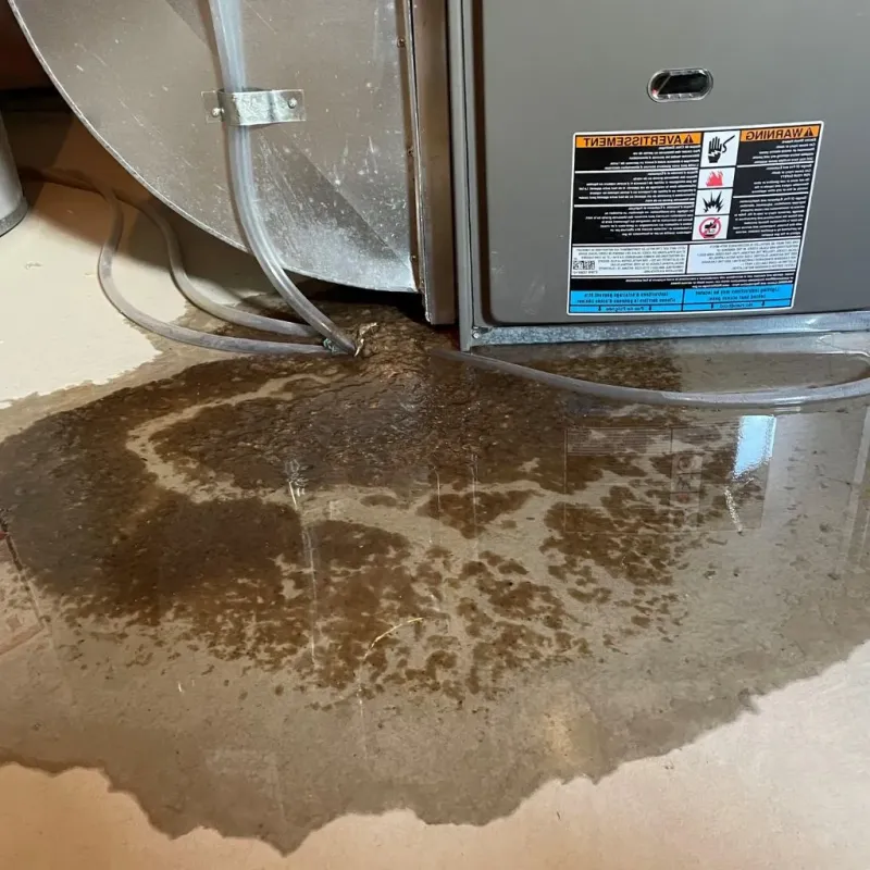 Pipe Burst and Leak Restoration in Oak Point, TX