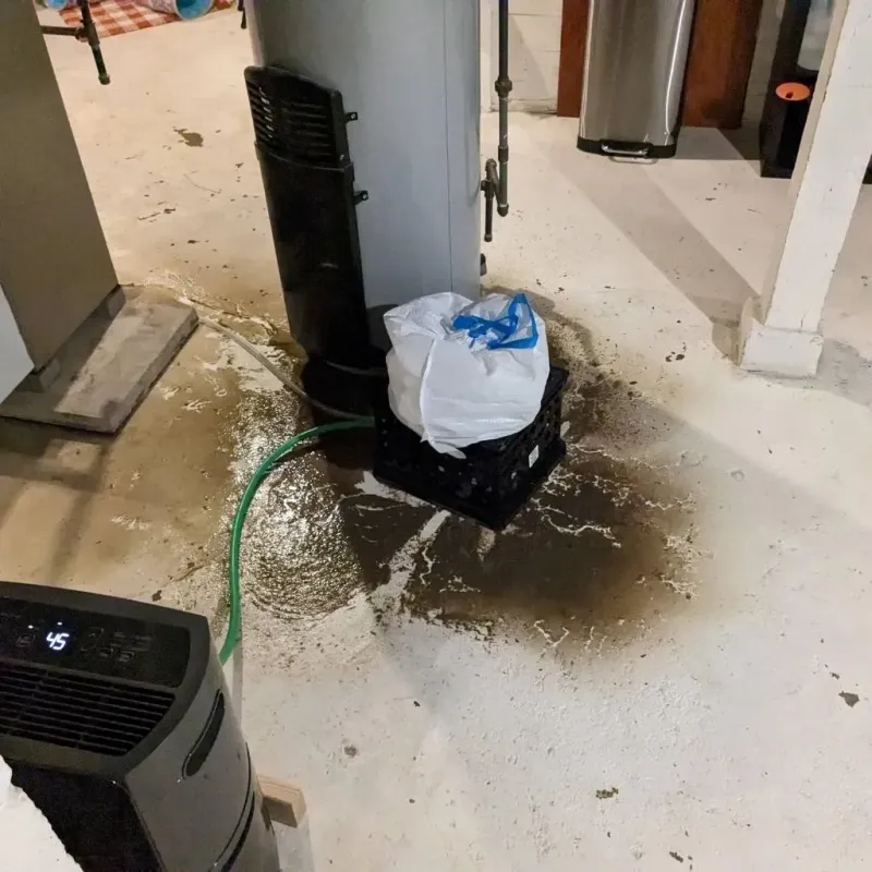 Sewage Backup Cleanup Service in Oak Point, TX